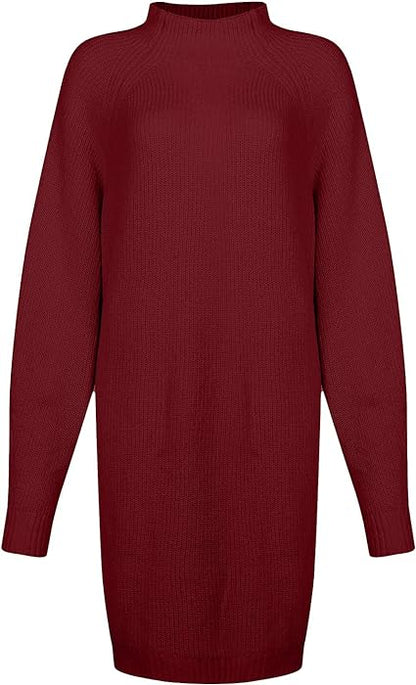 Robe Tricotée Pour L'hiver | Col Roulé