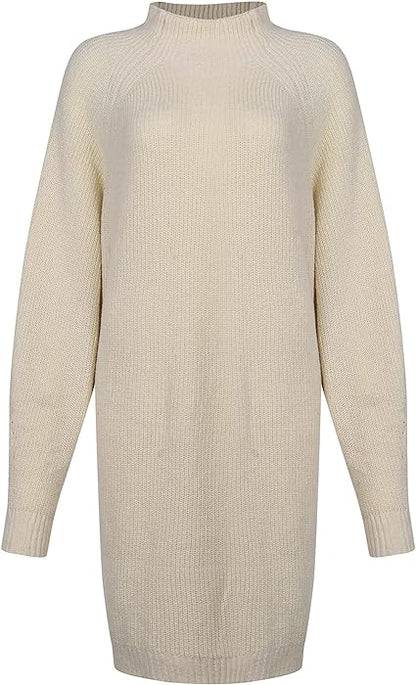 Robe Tricotée Pour L'hiver | Col Roulé