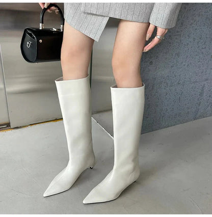 Bottes Pointues Hautes Au Genou | Hiver